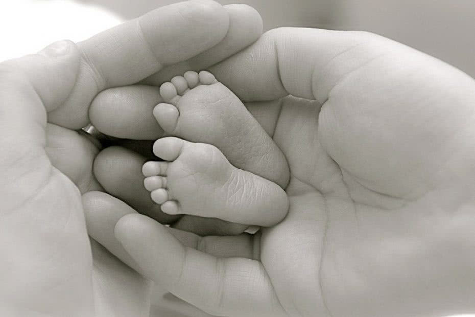 Fertilidade, Reprodução Humana, Ginecologia, Obstetrícia