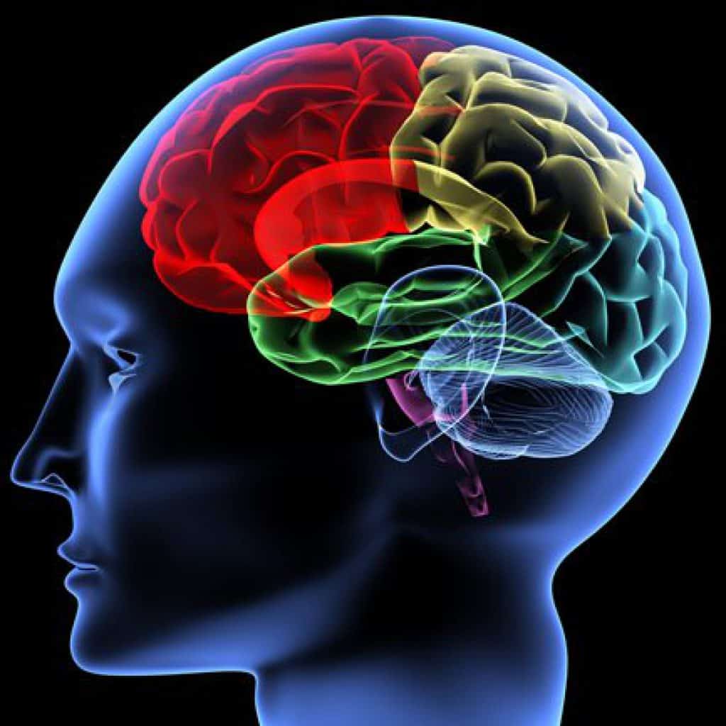 Tratamentul general al accidentului vascular cerebral (AVC)