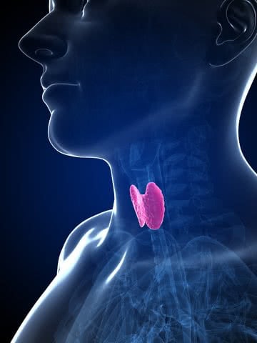 tireoide