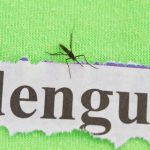 Dengue: prevenção