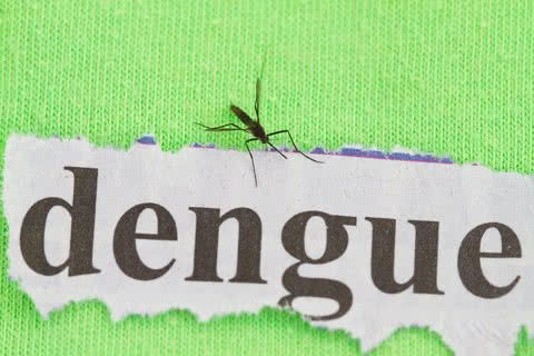 Dengue: prevenção