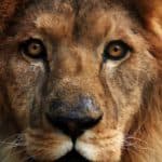 Imposto de renda e a saúde