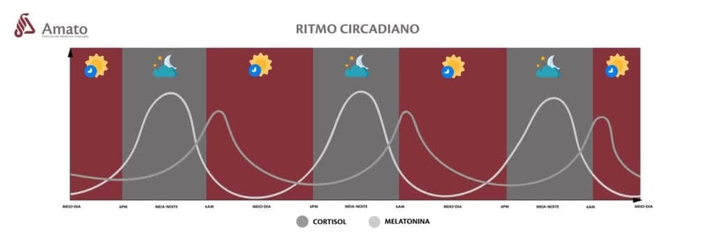 ritmo circadiano