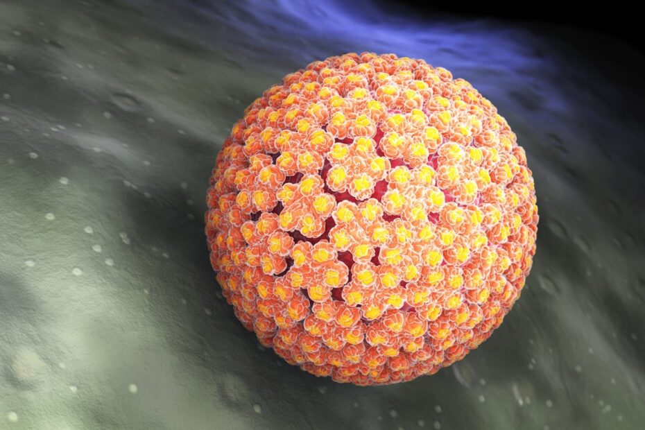 HPV Human Papiloma Virus